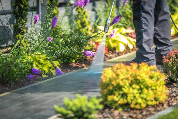 Best Pre-Holiday Cleaning  in Saxonburg, PA
